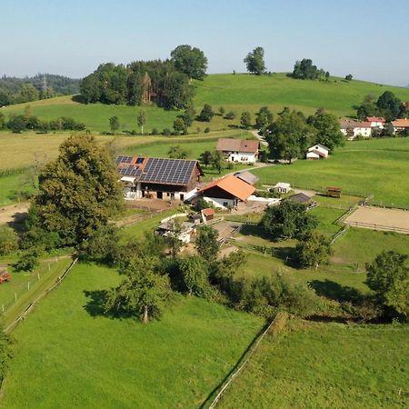 Carlo Διαμέρισμα Wangen im Allgäu Εξωτερικό φωτογραφία