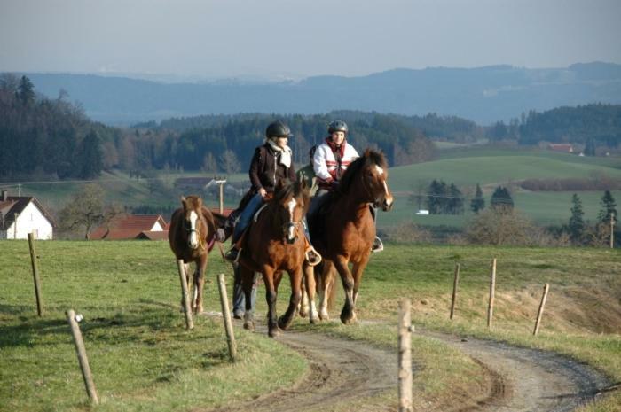 Carlo Διαμέρισμα Wangen im Allgäu Εξωτερικό φωτογραφία